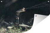Tuindecoratie Een slang spuit gif in Mozambique - 60x40 cm - Tuinposter - Tuindoek - Buitenposter