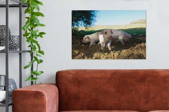 Toile Peinture Cochons - Animaux - Paysage - 60x40 cm - Décoration murale