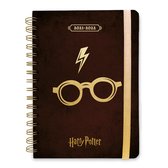 Harry Potter - Harry's Glasses 2021/2022 A5 Academisch Dagboek