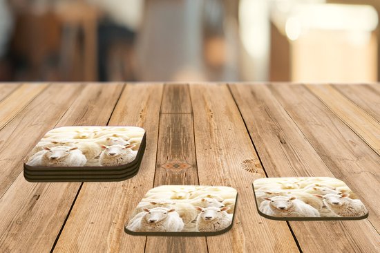 Dessous de Sous-verres - Mouton - Laine - Wit - 10x10 cm - 6 pièces