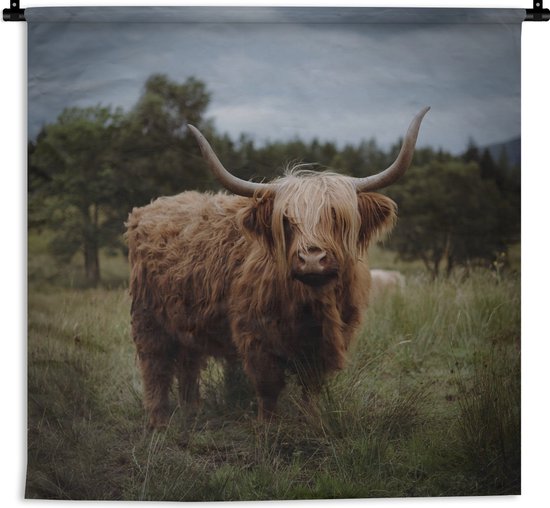 Wandkleed - Wanddoek - Schotse hooglander - Dieren - Koe - 90x90 cm - Wandtapijt