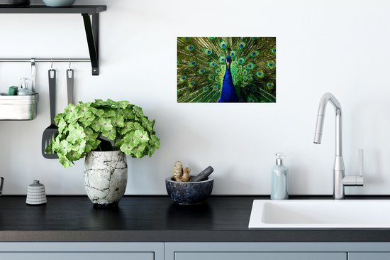 Poster Paon coloré symétrique 30x20 cm - petit - Tirage photo sur Poster (décoration murale salon / chambre)