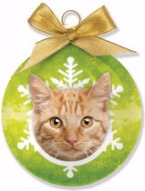 Huisdieren/dieren kerstballen kat/poes rood Tabby 8 cm