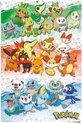 Poster Pokemon en zijn vrienden