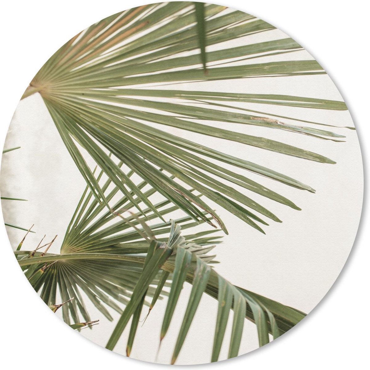 Muismat rond 20x20 cm - Mousepad Palmboom - Lucht - Bladeren - Ronde muismatten