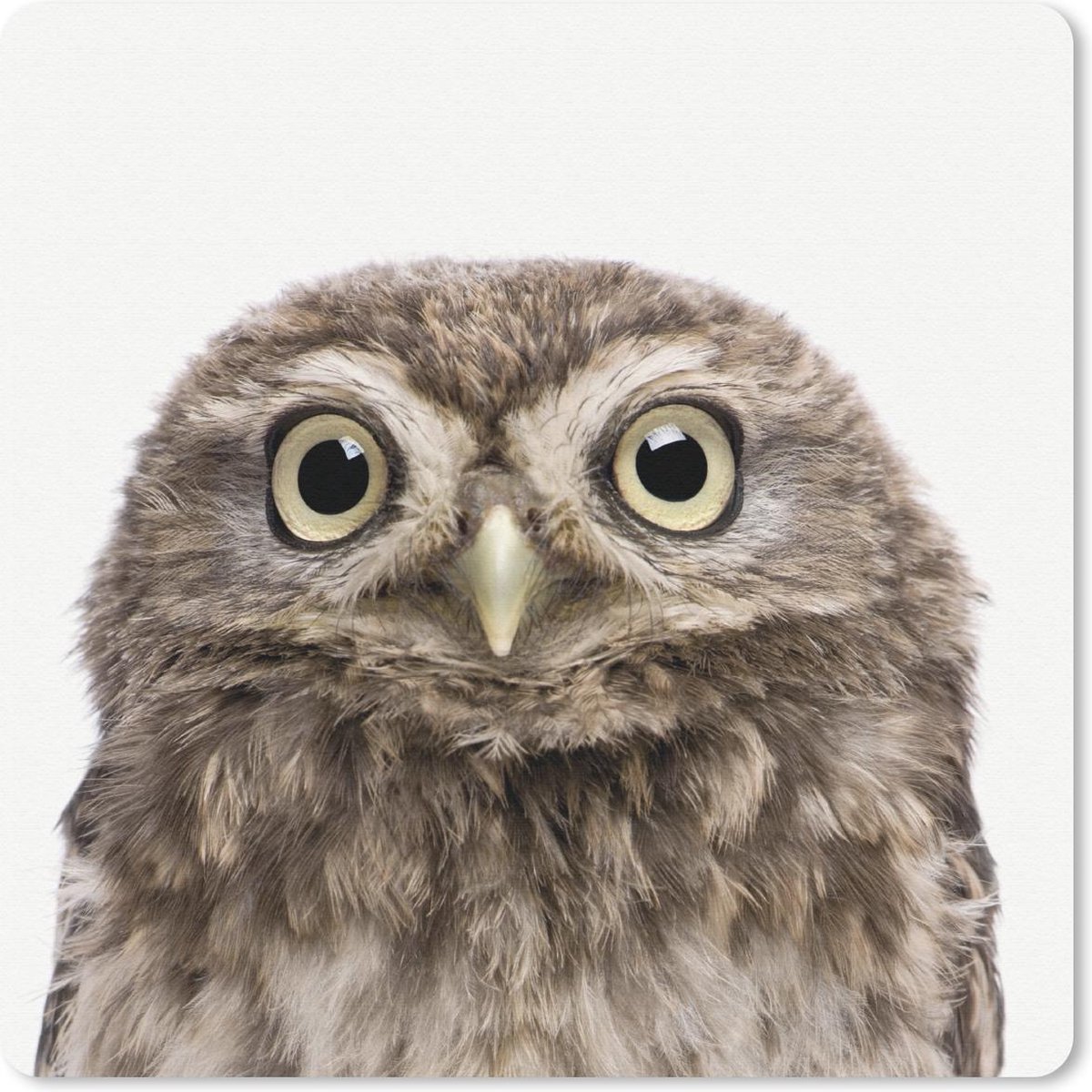 Muismat 30x30 cm - Mousepad Dieren - Uil - Wit - Muismatten