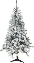 ROND MIDNIGHT Fir Flock 1e prijs - 180 cm