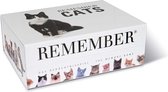 Remember - Remember Memory Spel Cats