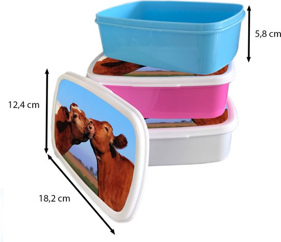 Lunch box Wit - Lunch box - Boîte à pain - Vaches - Été - Marron - 18x12x6 cm - Adultes