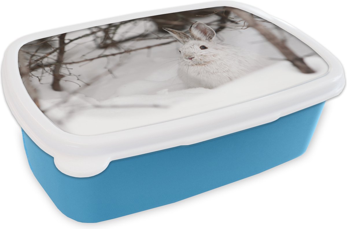 Broodtrommel Blauw - Lunchbox - Brooddoos - Haas - Winter - Plant - 18x12x6 cm - Kinderen - Jongen