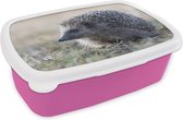 Broodtrommel Roze - Lunchbox - Brooddoos - Egel - Dier - Gras - 18x12x6 cm - Kinderen - Meisje