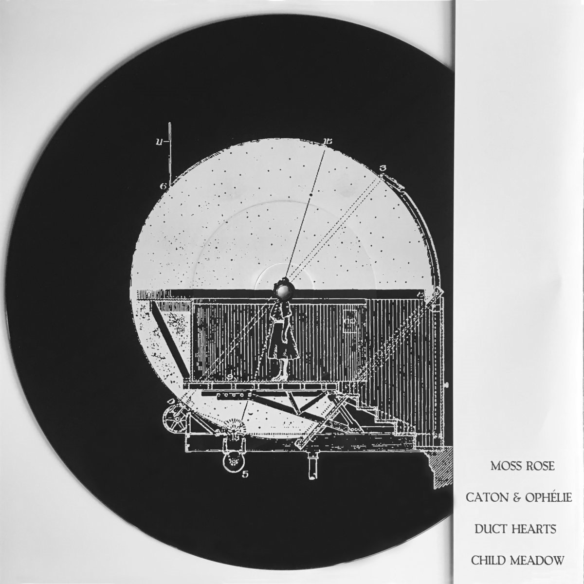 Moss Rose & Caton & Ophelie & Duct Hearts & Child Meadow - Split (12" Single)