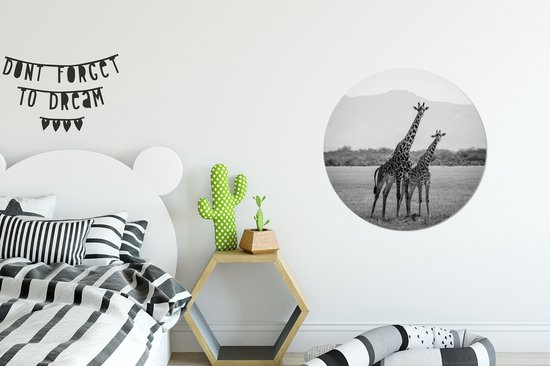 Deux girafes se tiennent dans un champ en noir et blanc Assiette en plastique cercle mural ⌀ 60 cm - impression photo sur cercle mural / cercle vivant (décoration murale)