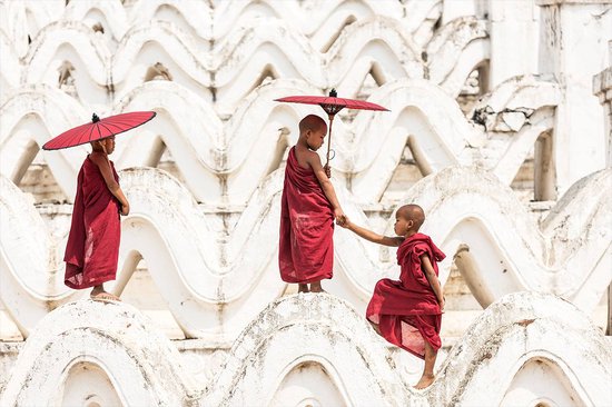 Curious monks - Fotokunst op Plexiglas - Incl. blind ophangsysteem en 5 jaar garantie