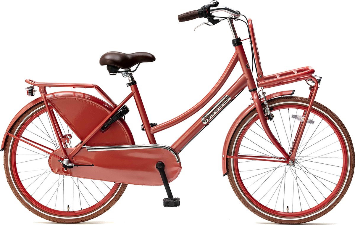 Popal Daily Dutch Basic+ Kinderfiets - 24 inch - 3 versnellingen - Flamingo  | bol.com