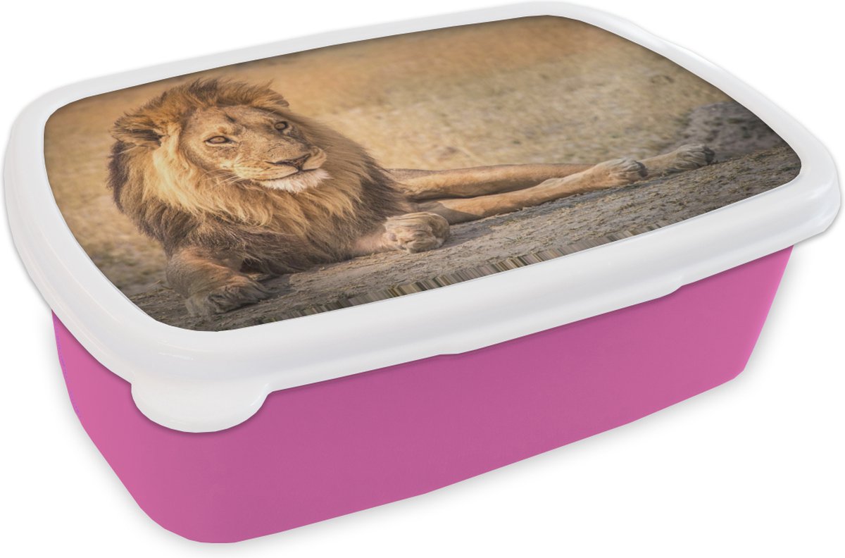 Broodtrommel Roze - Lunchbox - Brooddoos - Leeuw - Close up - Savanne - 18x12x6 cm - Kinderen - Meisje