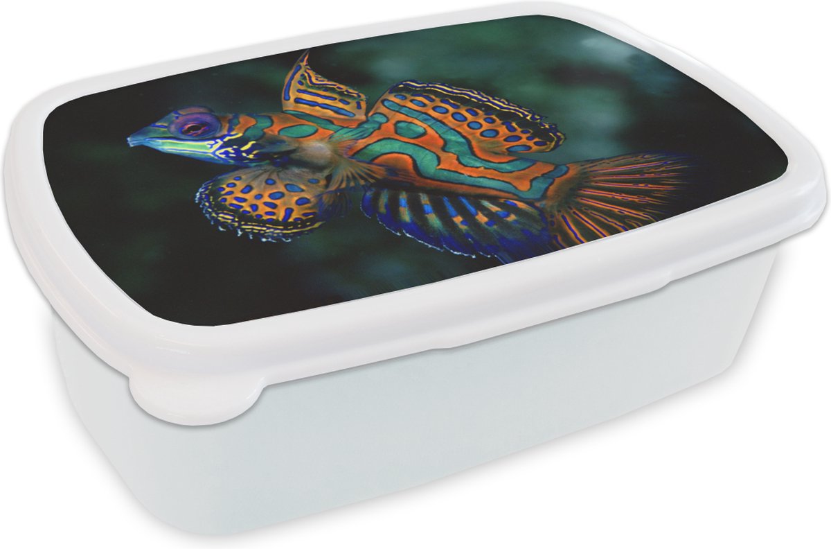 Broodtrommel Wit - Lunchbox - Brooddoos - Vis - Zee - Oranje - 18x12x6 cm - Volwassenen