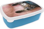 Broodtrommel Blauw - Lunchbox - Brooddoos - Slapende kat op een kleed - 18x12x6 cm - Kinderen - Jongen