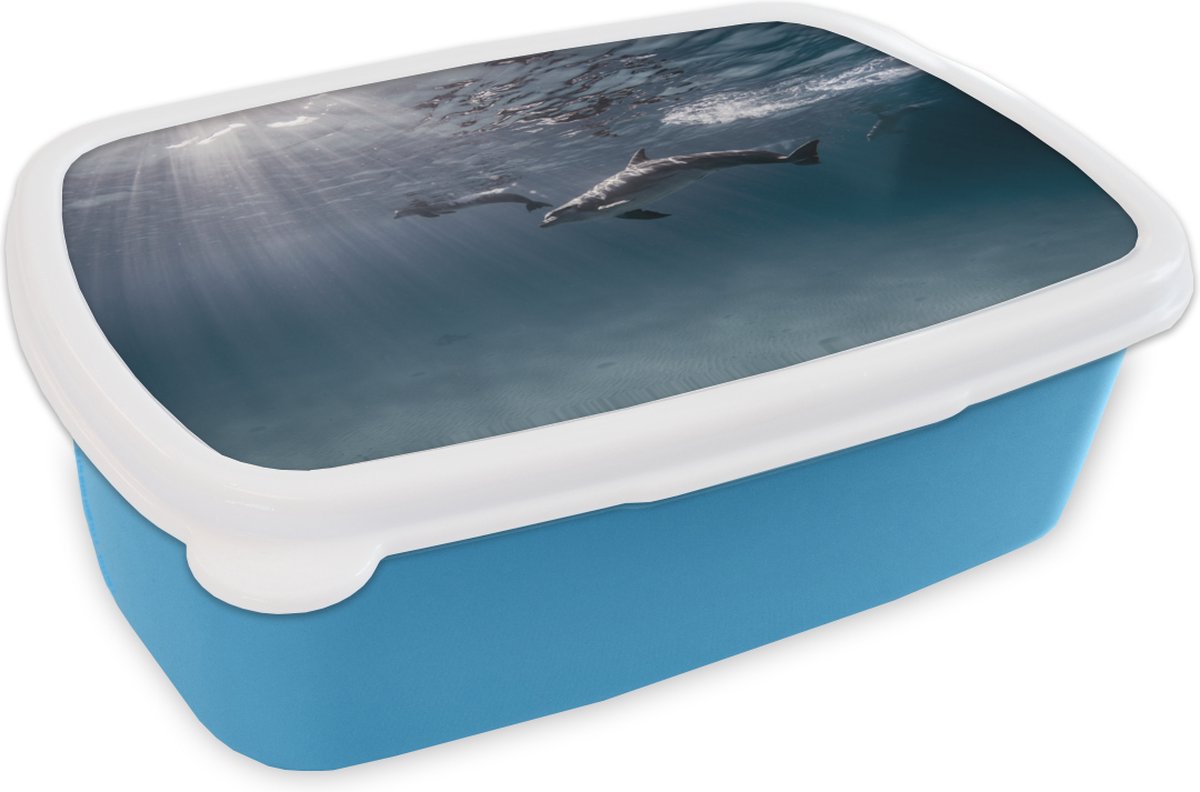Broodtrommel Blauw - Lunchbox - Brooddoos - Dolfijn - Zon - Zee - 18x12x6 cm - Kinderen - Jongen