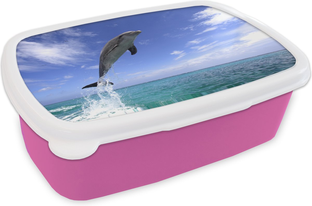 Broodtrommel Roze - Lunchbox - Brooddoos - Dolfijn - Zee - Lucht - 18x12x6 cm - Kinderen - Meisje