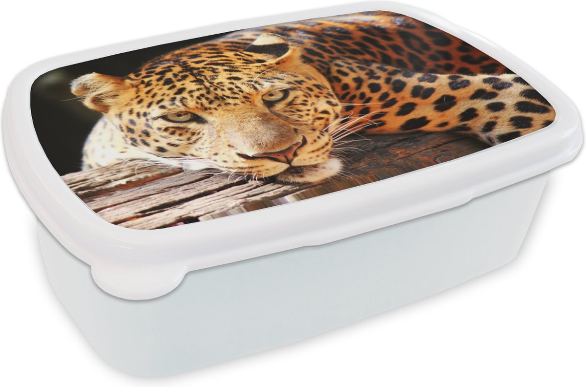 Broodtrommel Wit - Lunchbox - Brooddoos - Panter - Boom - Natuur - 18x12x6 cm - Volwassenen