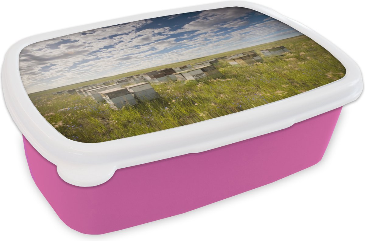Broodtrommel Roze - Lunchbox - Brooddoos - Bijen - Bloem - Lucht - 18x12x6 cm - Kinderen - Meisje