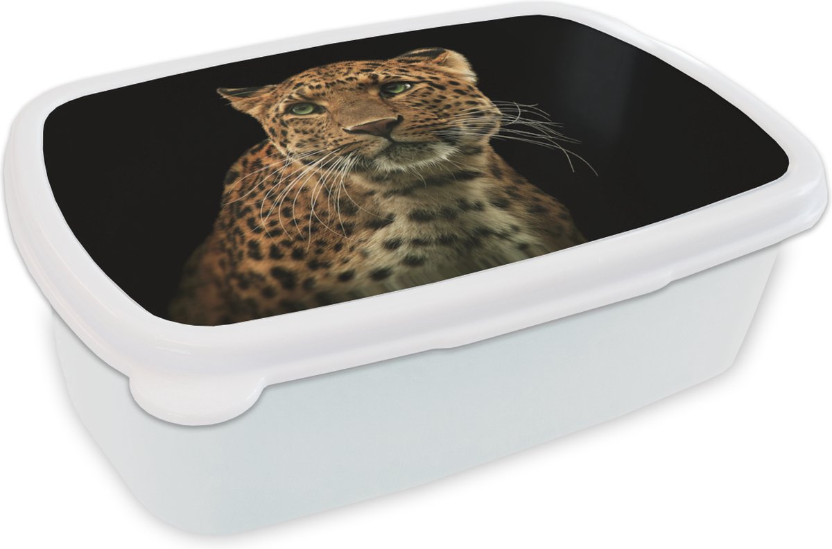 Broodtrommel Wit - Lunchbox - Brooddoos - Panter - Zwart - Groen - 18x12x6 cm - Volwassenen