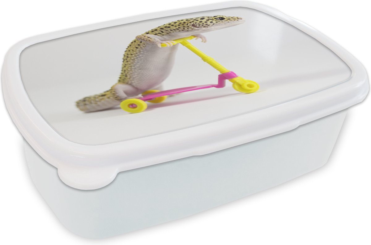 Broodtrommel Wit - Lunchbox - Brooddoos - Gekko op een step - 18x12x6 cm - Volwassenen