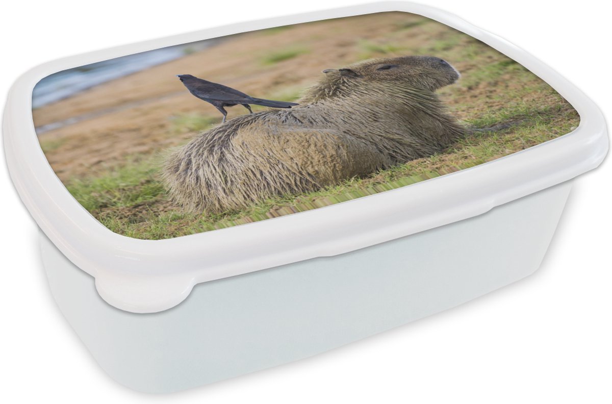 Broodtrommel Wit - Lunchbox - Brooddoos - Capibara met vogel - 18x12x6 cm - Volwassenen
