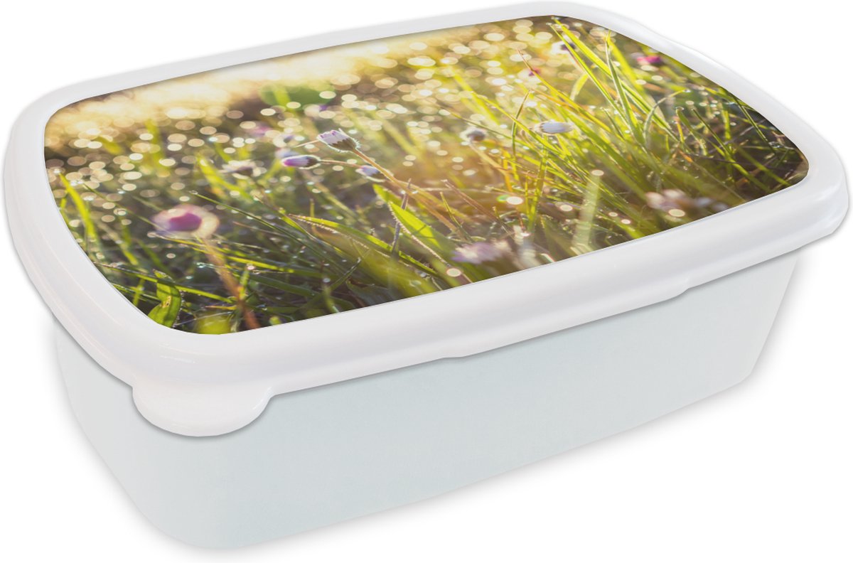 Broodtrommel Wit - Lunchbox - Brooddoos - Gras - Bloemen - Lente - 18x12x6 cm - Volwassenen
