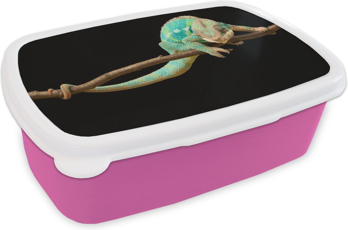 Broodtrommel Roze - Lunchbox - Brooddoos - Kameleon - Tak - Pastel - 18x12x6 cm - Kinderen - Meisje