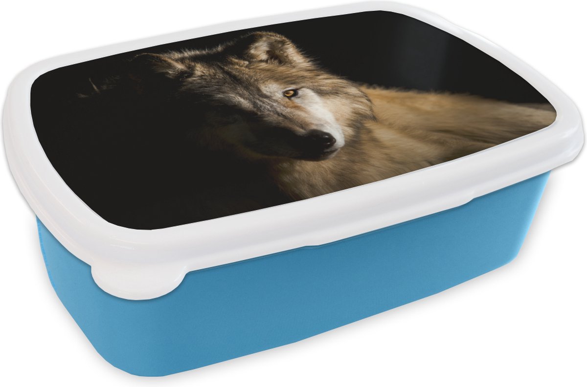 Broodtrommel Blauw - Lunchbox - Brooddoos - Arctische wolf - 18x12x6 cm - Kinderen - Jongen
