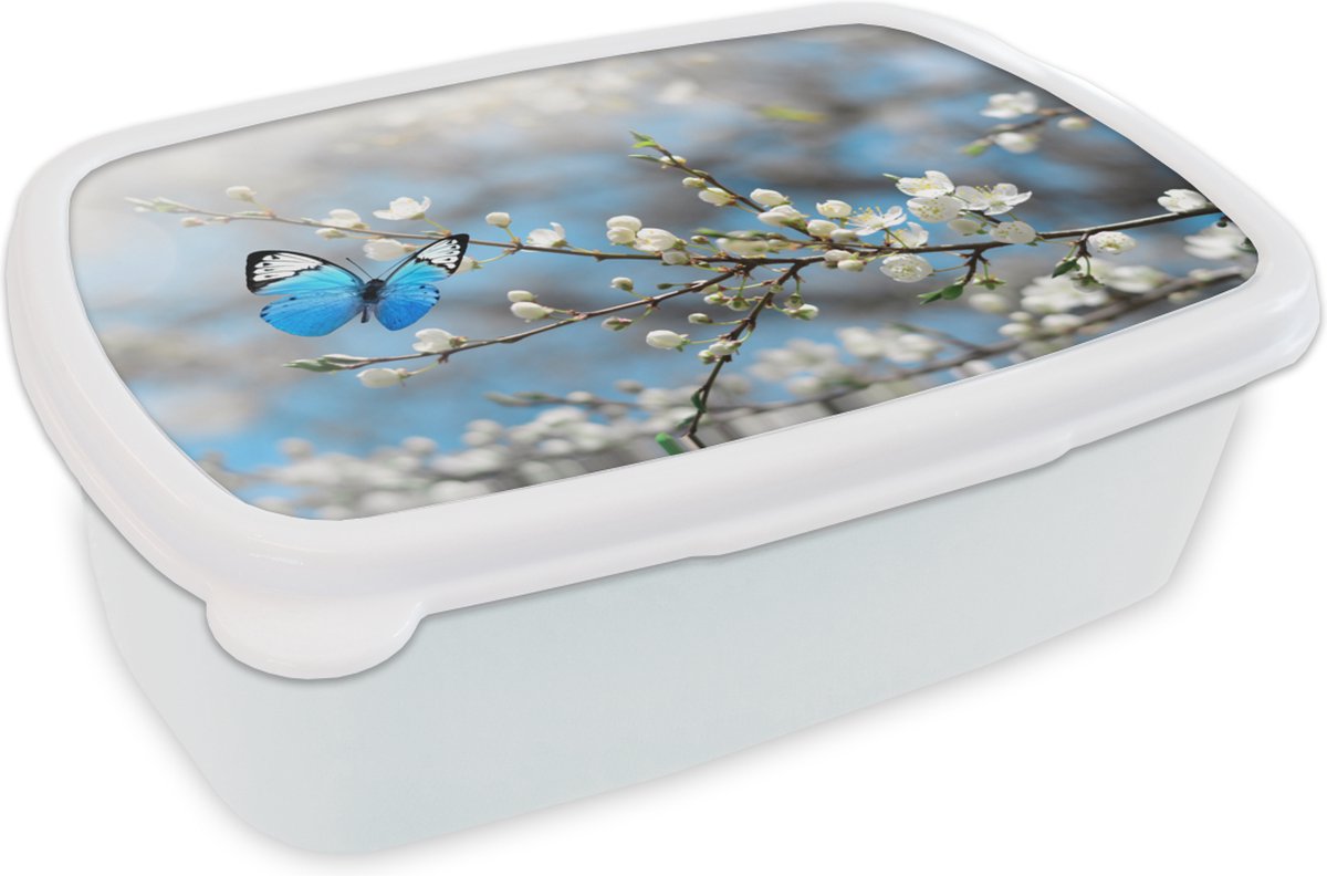 Broodtrommel Wit - Lunchbox - Brooddoos - Sakura - Vlinder - Lente - 18x12x6 cm - Volwassenen