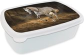 Broodtrommel Wit - Lunchbox Paard - Licht - Hooi - Stal - Brooddoos 18x12x6 cm - Brood lunch box - Broodtrommels voor kinderen en volwassenen