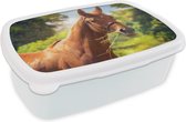 Broodtrommel Wit - Lunchbox Paard - Licht - Portret - Brooddoos 18x12x6 cm - Brood lunch box - Broodtrommels voor kinderen en volwassenen