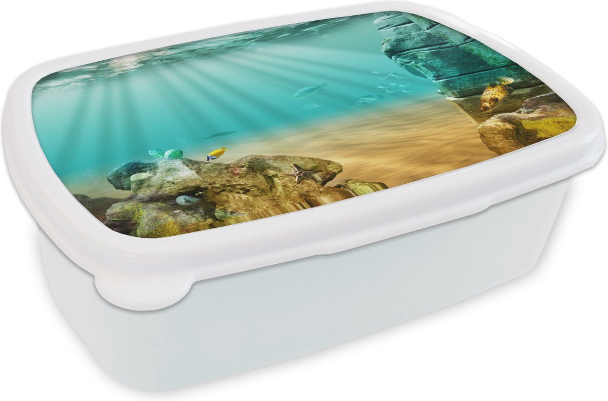 Broodtrommel Wit - Lunchbox - Brooddoos - Zee - Vissen - Water - 18x12x6 cm - Volwassenen