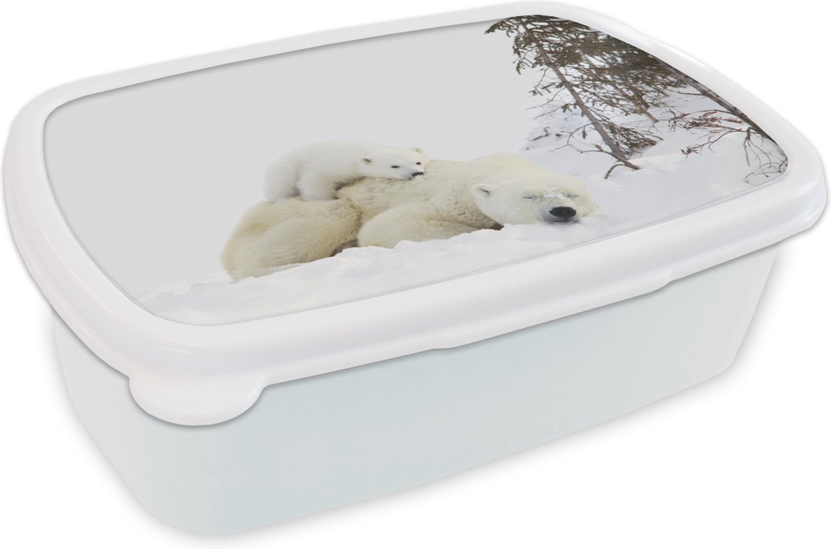 Broodtrommel Wit - Lunchbox - Brooddoos - IJsbeer - Sneeuw - Boom - 18x12x6 cm - Volwassenen