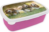 Broodtrommel Roze - Lunchbox - Brooddoos - Puppy's rennen door het gras - 18x12x6 cm - Kinderen - Meisje