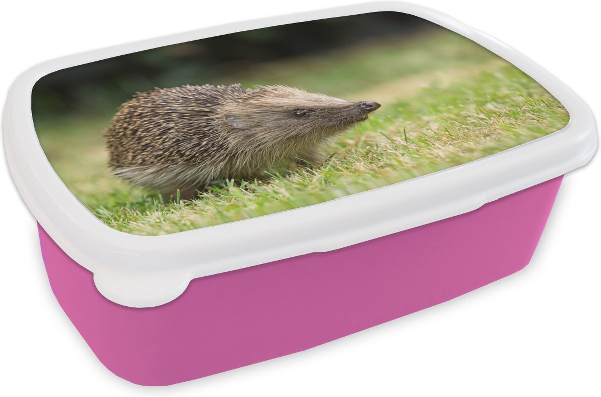 Broodtrommel Roze - Lunchbox - Brooddoos - Egel in de tuin - 18x12x6 cm - Kinderen - Meisje