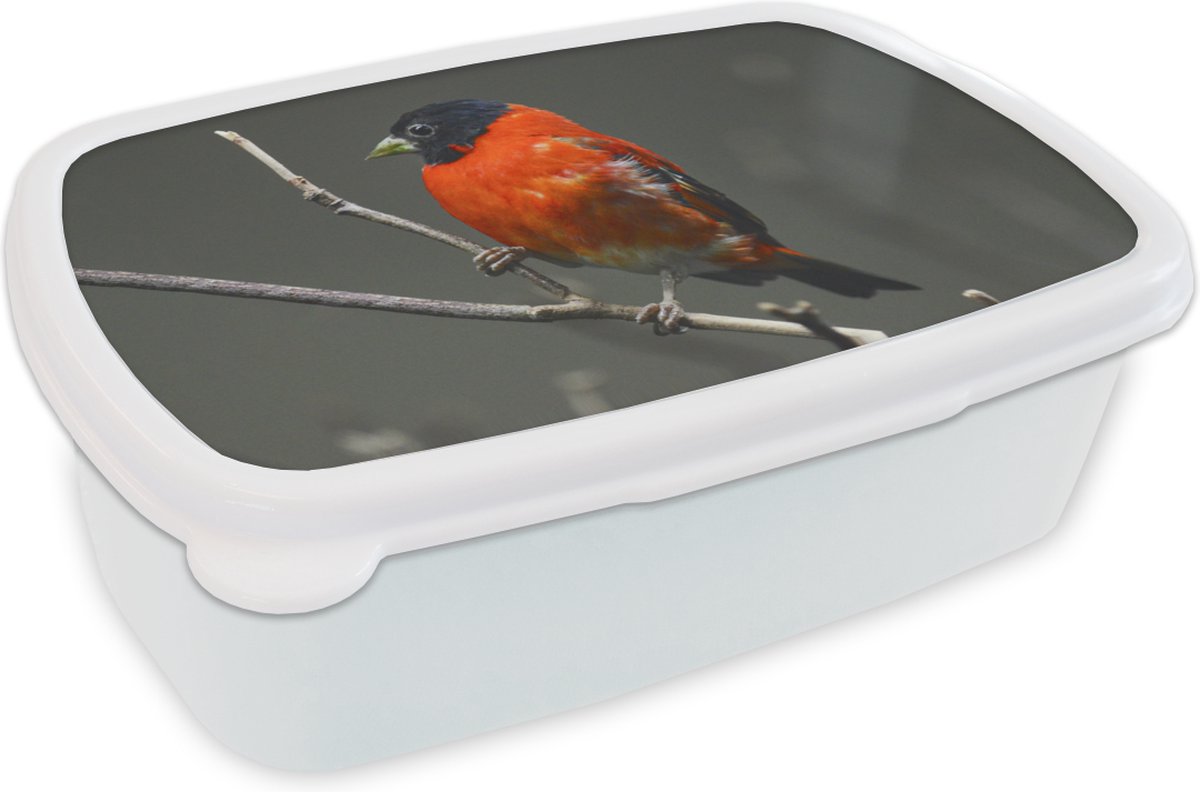 Broodtrommel Wit - Lunchbox - Brooddoos - Vogel - Rood - Tak - 18x12x6 cm - Volwassenen