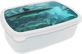 Broodtrommel Wit - Lunchbox - Brooddoos - Grote haai in een aquarium - 18x12x6 cm - Volwassenen