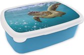 Broodtrommel Blauw - Lunchbox - Brooddoos - Een zeeschildpad omringd door bubbels - 18x12x6 cm - Kinderen - Jongen
