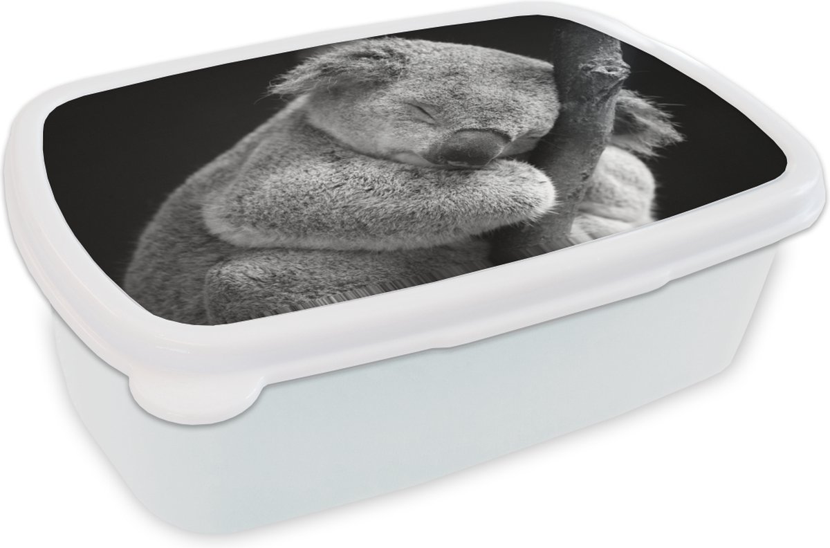 Broodtrommel Wit - Lunchbox - Brooddoos - Koala - Tak - Zwart - Kids- Jongens - Meisjes - 18x12x6 cm - Volwassenen