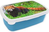 Broodtrommel Blauw - Lunchbox - Brooddoos - Rode Panda - Groen - Gras - 18x12x6 cm - Kinderen - Jongen