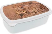 Broodtrommel Wit - Lunchbox - Brooddoos - Baby cheeta's - 18x12x6 cm - Volwassenen