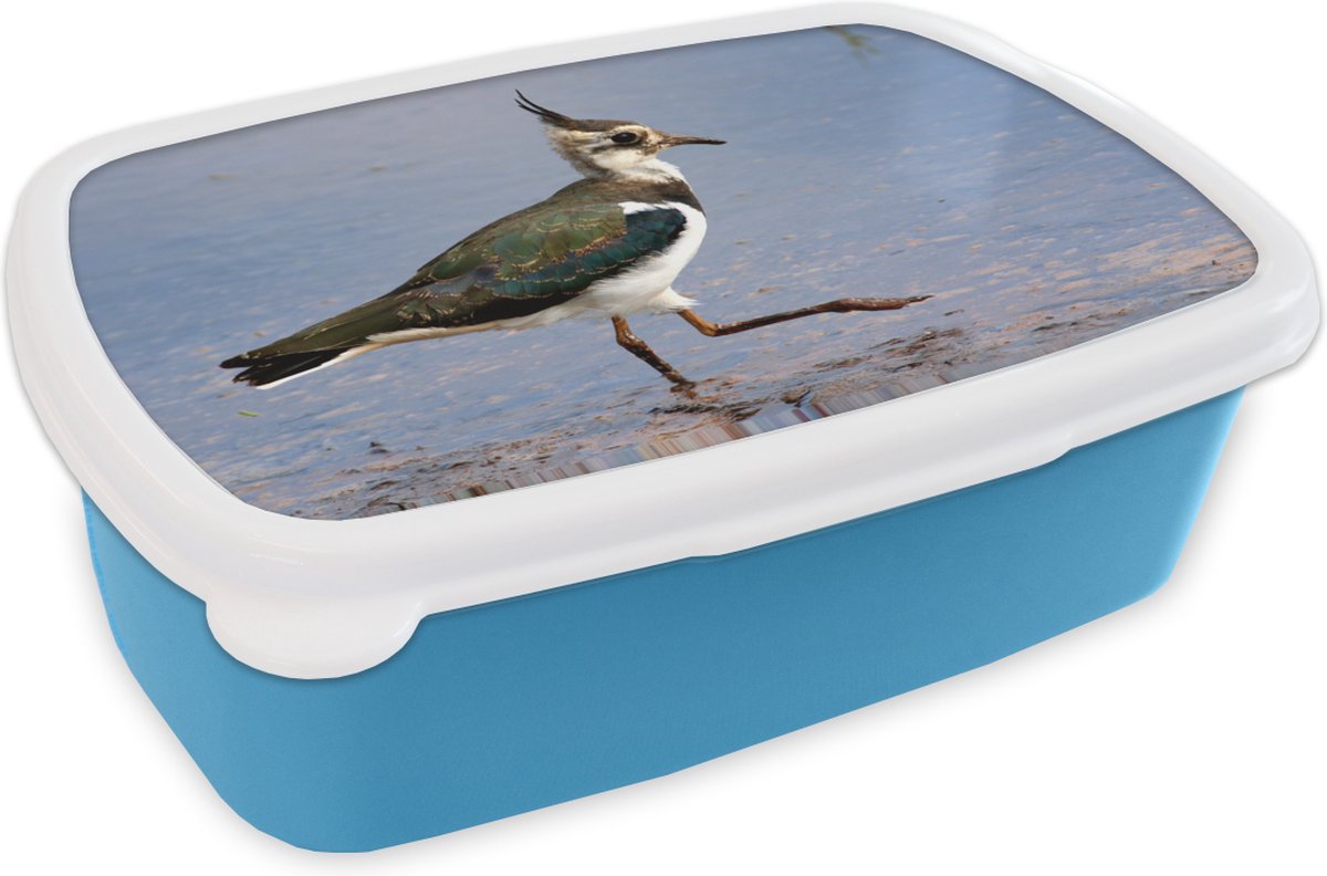 Broodtrommel Blauw - Lunchbox - Brooddoos - Kievit in het water - 18x12x6 cm - Kinderen - Jongen