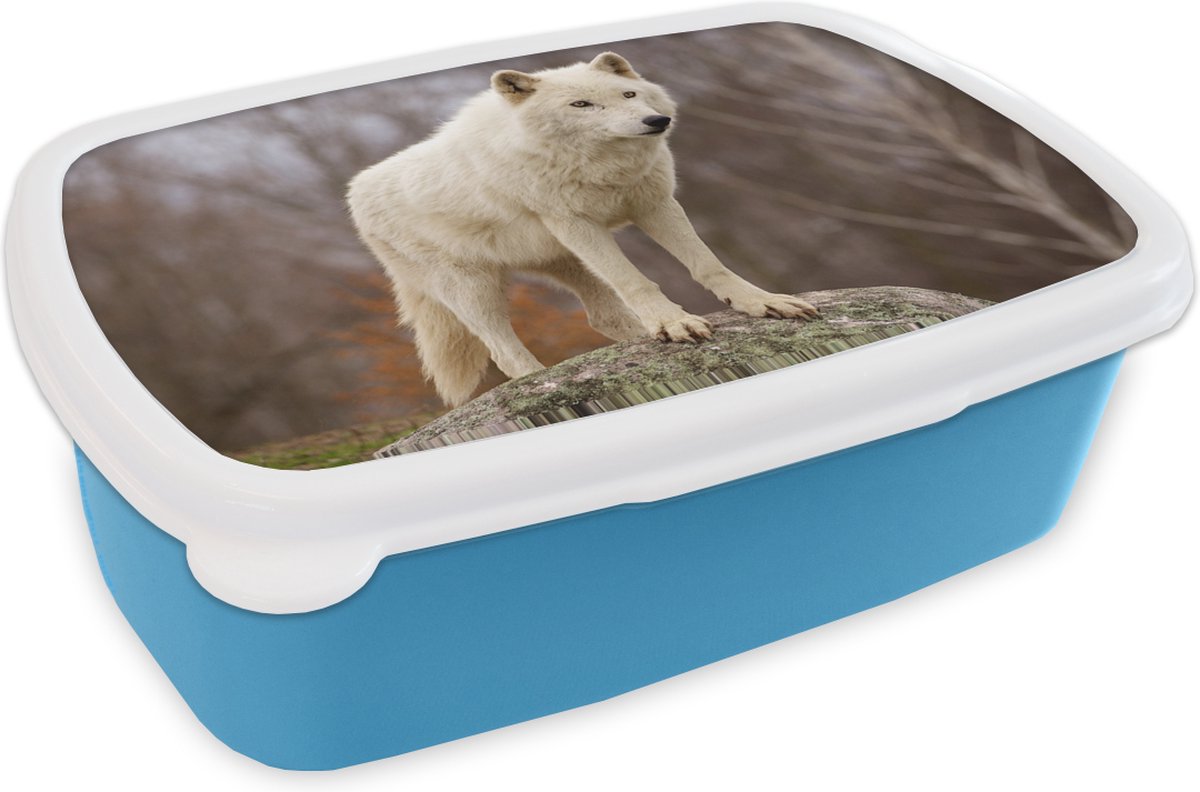 Broodtrommel Blauw - Lunchbox - Brooddoos - Wolf - Steen - Wit - 18x12x6 cm - Kinderen - Jongen
