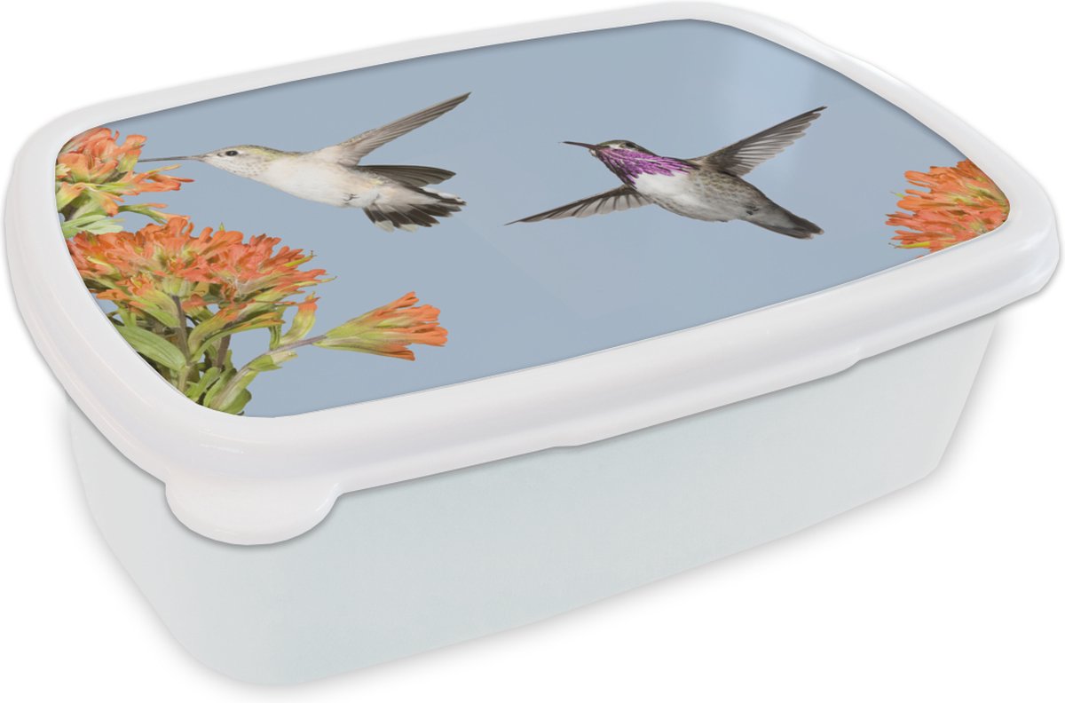 Broodtrommel Wit - Lunchbox - Brooddoos - Kolibrie - Bloemen - Vogels - 18x12x6 cm - Volwassenen