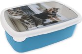 Broodtrommel Blauw - Lunchbox - Brooddoos - Kat - Hond - Dieren - 18x12x6 cm - Kinderen - Jongen