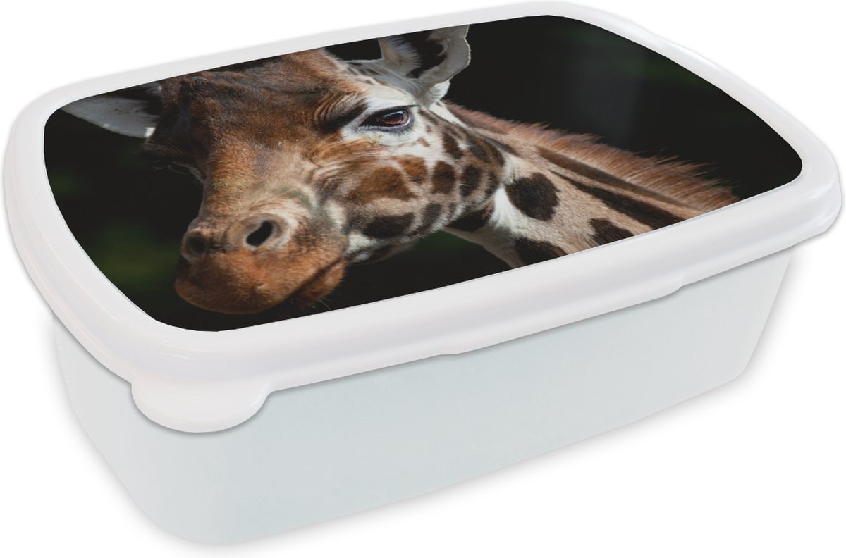 Broodtrommel Wit - Lunchbox - Brooddoos - Giraffe - Dier - Zwart - 18x12x6 cm - Volwassenen